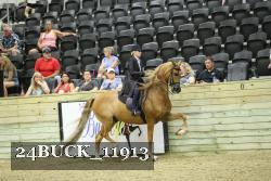 24BUCK_11913 thumbnail
