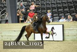 24BUCK_11915 thumbnail