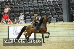 24BUCK_11916 thumbnail