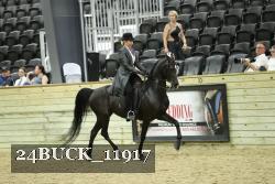 24BUCK_11917 thumbnail