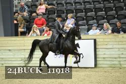24BUCK_11918 thumbnail