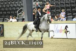 24BUCK_11919 thumbnail