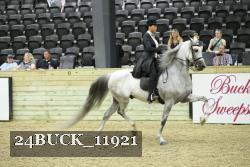 24BUCK_11921 thumbnail