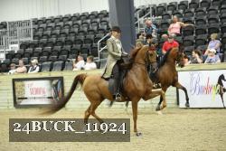 24BUCK_11924 thumbnail