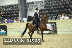 24BUCK_11925 thumbnail