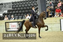 24BUCK_11926 thumbnail