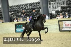 24BUCK_11930 thumbnail