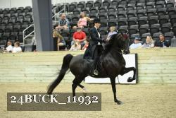 24BUCK_11932 thumbnail