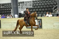 24BUCK_11933 thumbnail