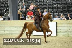 24BUCK_11934 thumbnail