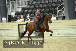 24BUCK_11937 thumbnail