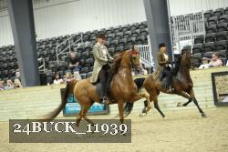 24BUCK_11939 thumbnail