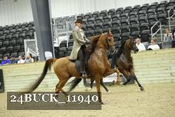 24BUCK_11940 thumbnail