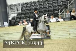 24BUCK_11943 thumbnail
