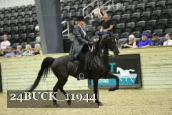 24BUCK_11944 thumbnail