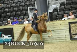 24BUCK_11946 thumbnail