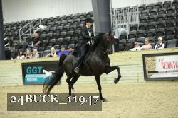 24BUCK_11947 thumbnail