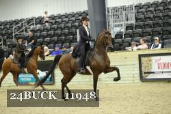 24BUCK_11948 thumbnail