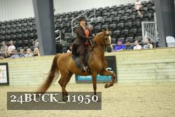 24BUCK_11950 thumbnail