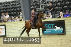 24BUCK_11953 thumbnail
