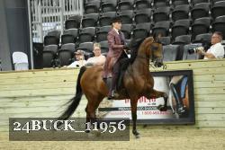 24BUCK_11956 thumbnail