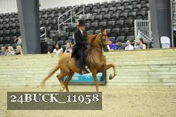 24BUCK_11958 thumbnail