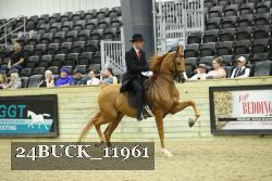 24BUCK_11961 thumbnail