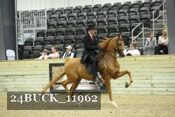 24BUCK_11962 thumbnail