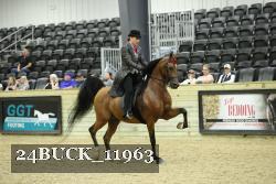 24BUCK_11963 thumbnail