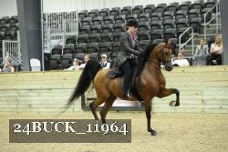 24BUCK_11964 thumbnail