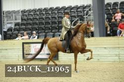 24BUCK_11965 thumbnail