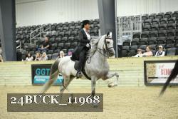 24BUCK_11968 thumbnail