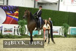 24BUCK_11984 thumbnail