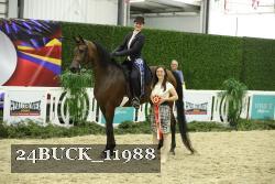 24BUCK_11988 thumbnail