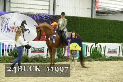24BUCK_11997 thumbnail