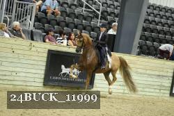 24BUCK_11999 thumbnail
