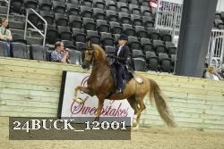24BUCK_12001 thumbnail