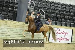 24BUCK_12002 thumbnail