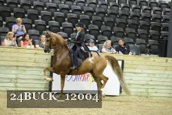 24BUCK_12004 thumbnail