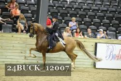 24BUCK_12007 thumbnail