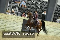 24BUCK_12010 thumbnail