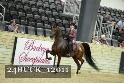 24BUCK_12011 thumbnail