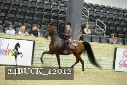 24BUCK_12012 thumbnail