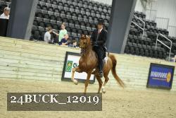 24BUCK_12019 thumbnail