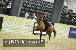 24BUCK_12028 thumbnail
