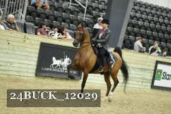 24BUCK_12029 thumbnail