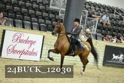 24BUCK_12030 thumbnail