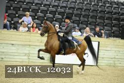 24BUCK_12032 thumbnail