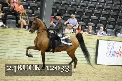 24BUCK_12033 thumbnail