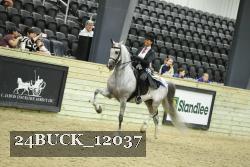 24BUCK_12037 thumbnail